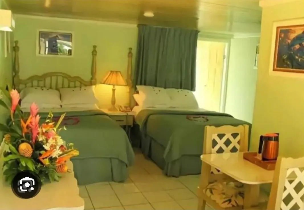 Big Apple Hotel Μοντέγκο Μπέυ